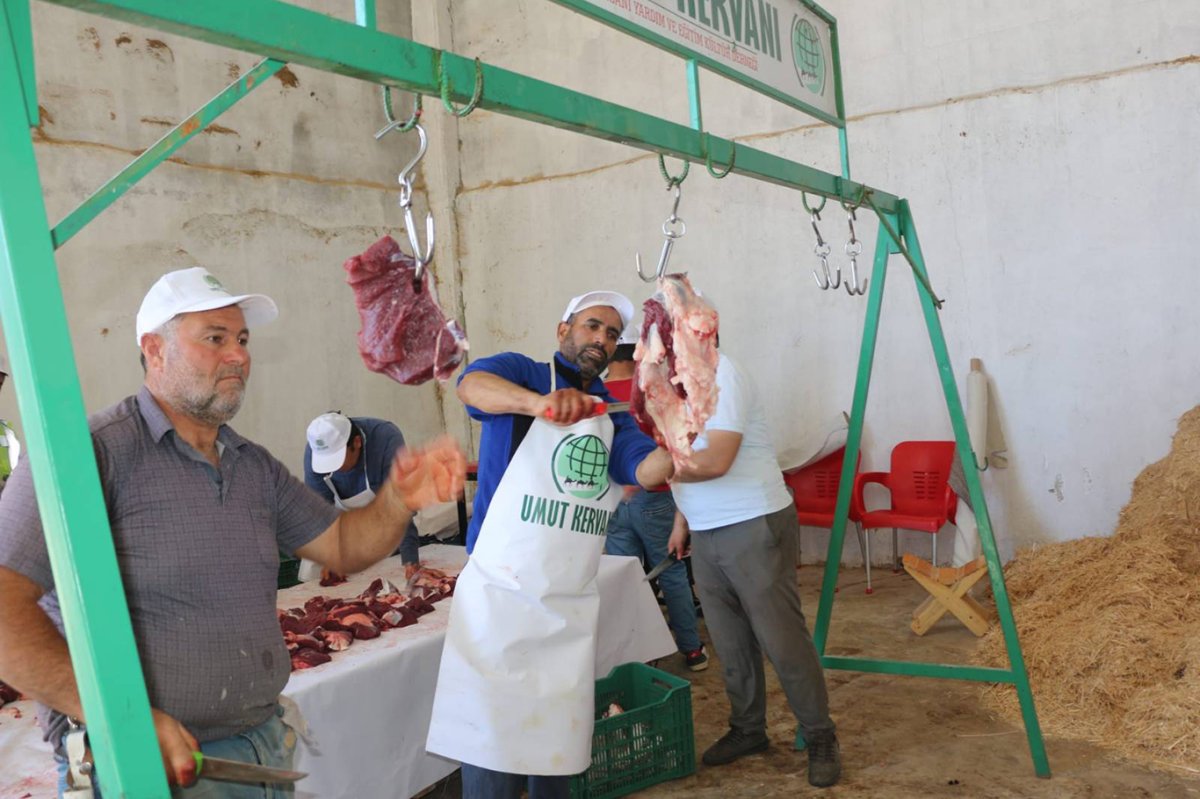 Şanlıurfa'da Umut Kervanı tarafından kurban kesimi gerçekleştirildi