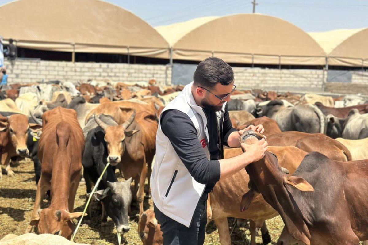 Yardım kuruluşları Yemen'de kurban eti kesimine başladı