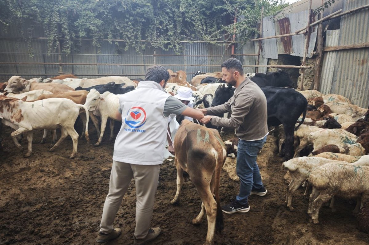 Yetimler Vakfı Kenya’da kurban etlerini ihtiyaç sahiplerine ulaştırdı