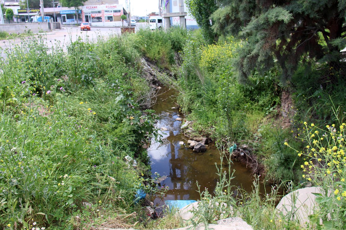 Bağıvar Mahallesi'nin bitmeyen sorunu: Kanalizasyon ve altyapı eksikliği