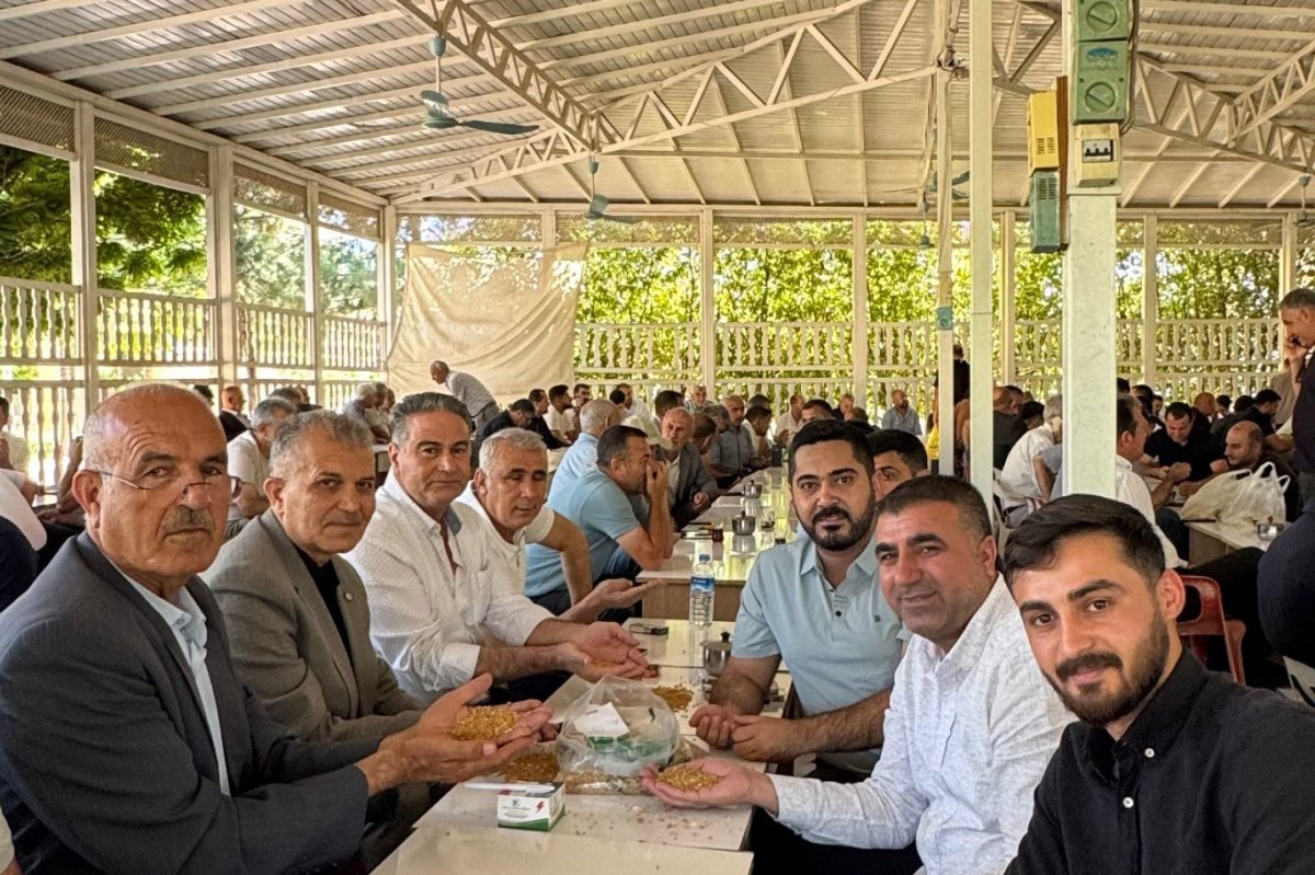 Mardin Ovası'da sezonun ilk buğday hasadı yapıldı: Kaliteli verim elde edildi