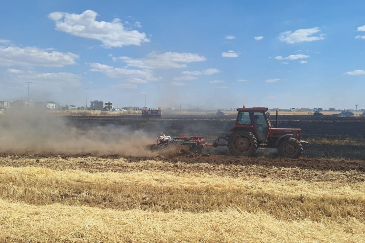 Mardin'de yaklaşık 80 dönüm buğday ekili alan kül oldu