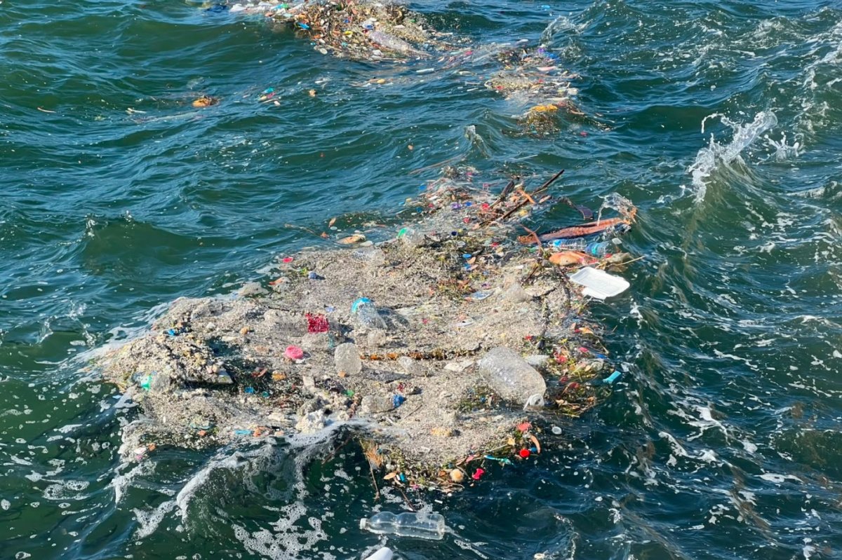 Konak Vapur İskelesi önünde deniz yüzeyinde atık yoğunluğu