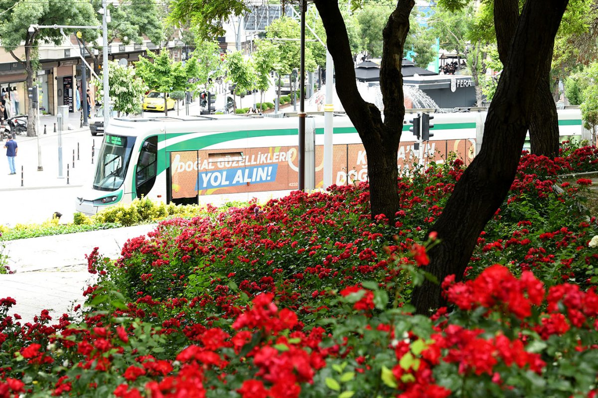Konya’da park ve caddeler çiçeklerle renklendirildi