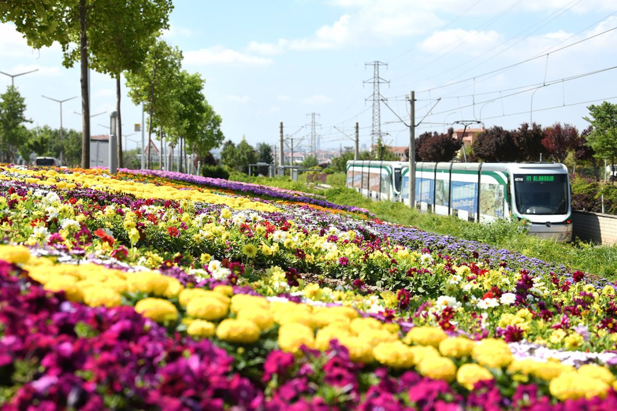 Konya’da park ve caddeler çiçeklerle renklendirildi