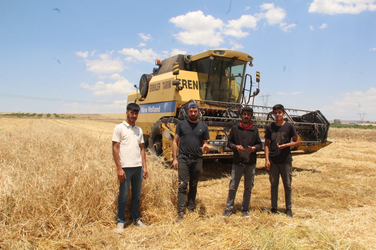 Arpa hasadına başlayan çiftçiler verimden memnun, maliyetlerden şikâyetçi