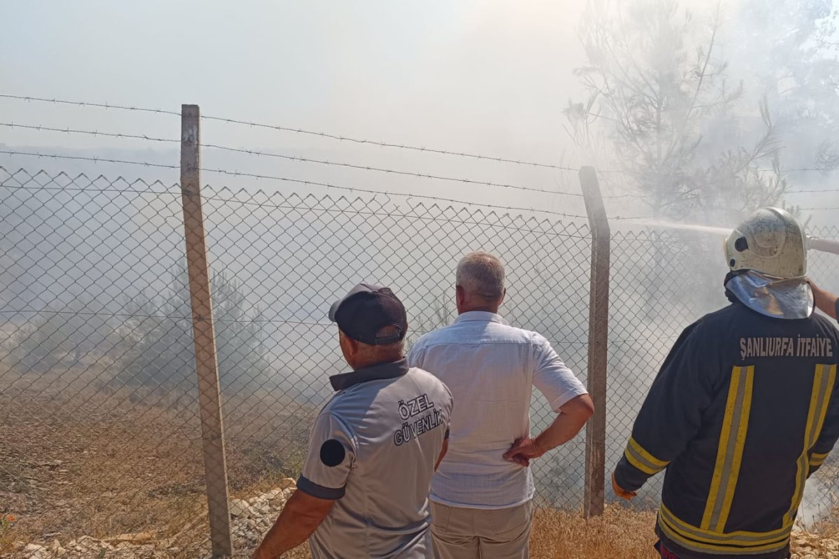 Bozova'da ağaçlık alanda çıkan yangın söndürüldü