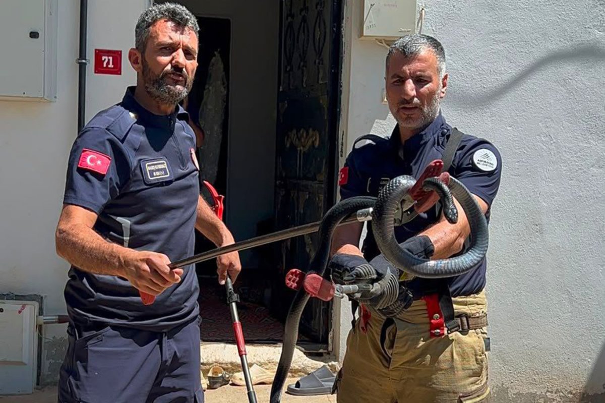 Mahallenin 3 yıllık “korkulu rüyası” yakalandı