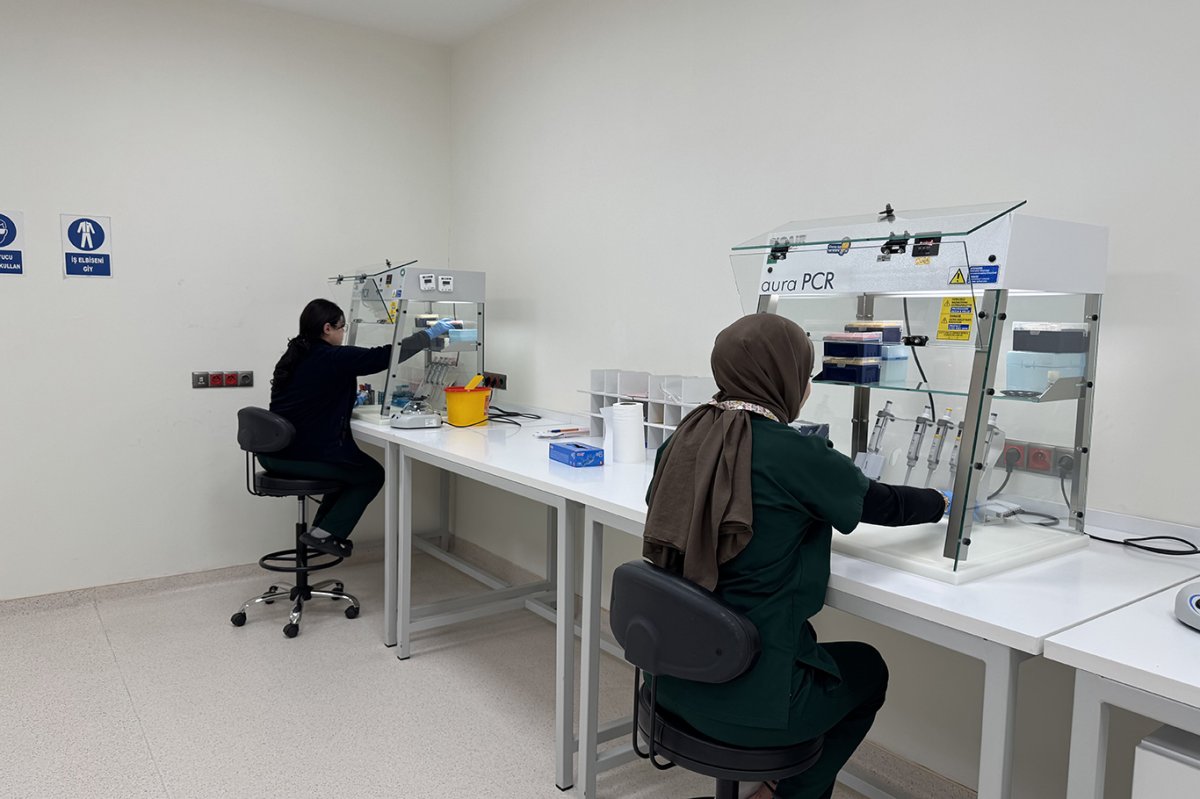Gaziantep Şehir Hastanesi'nde yapay zeka destekli genetik tanıda yeni dönem