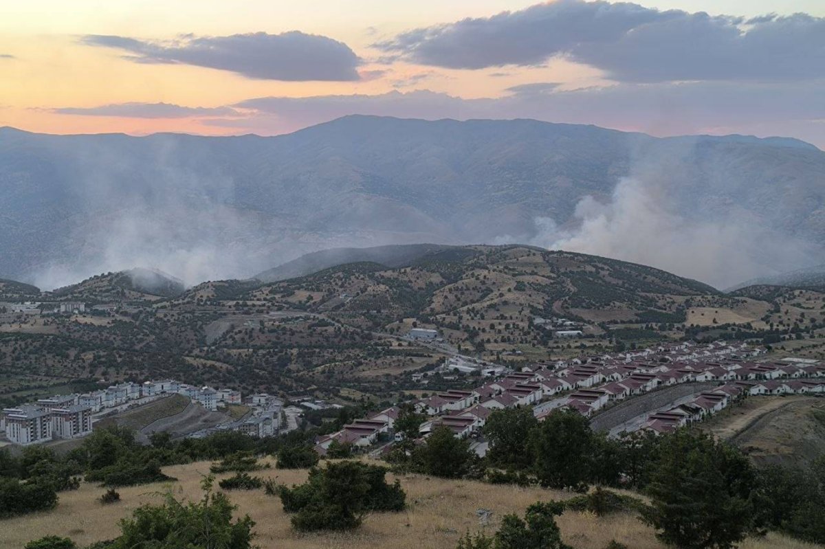 Malatya'da devam eden orman yangınını söndürme çalışmaları sürüyor