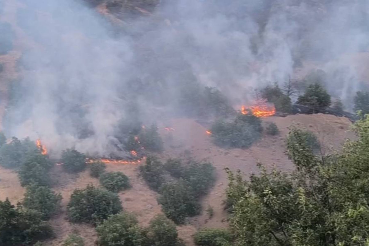 Malatya'da devam eden orman yangınını söndürme çalışmaları sürüyor