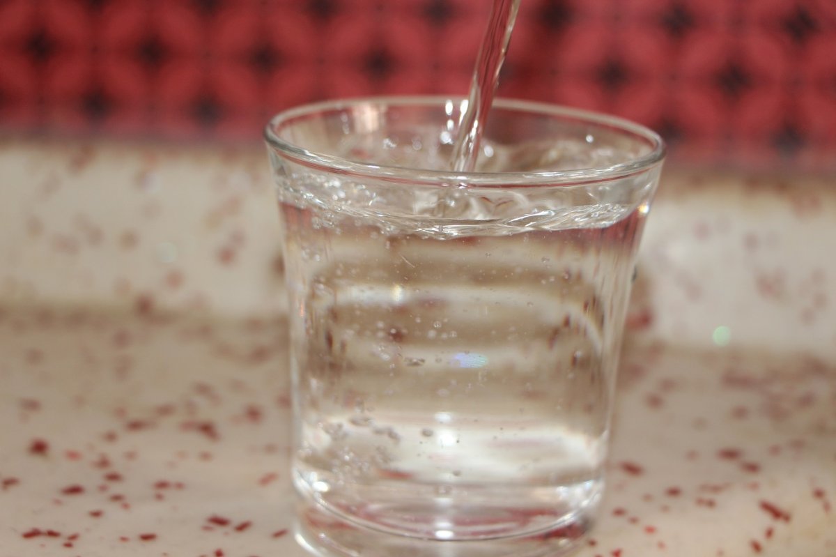 Yaz aylarında artan sıcaklıklara karşı su ve besin ihtiyacı nasıl karşılanmalı?