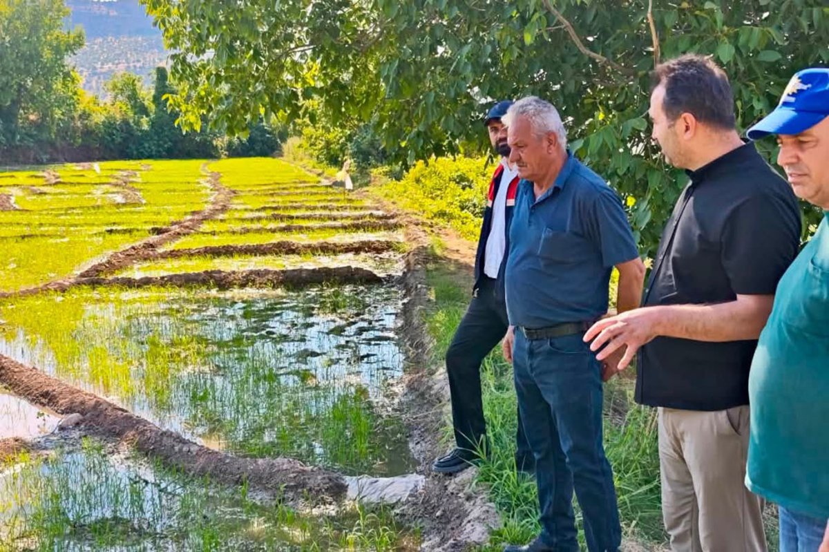 Batman'da Gönüllü pirincinin geleceği için saha çalışmaları sürüyor