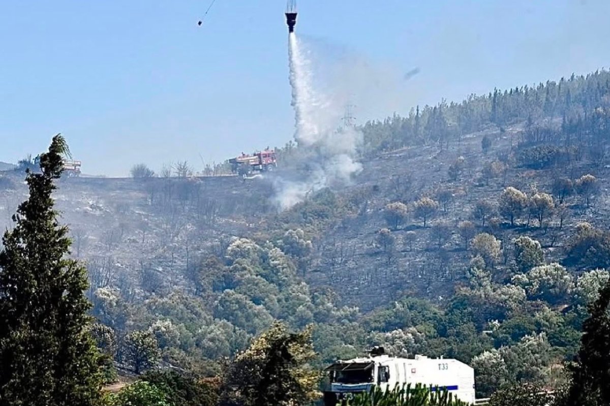 Bornova'daki orman yangınında alevler fabrikaya sıçradı