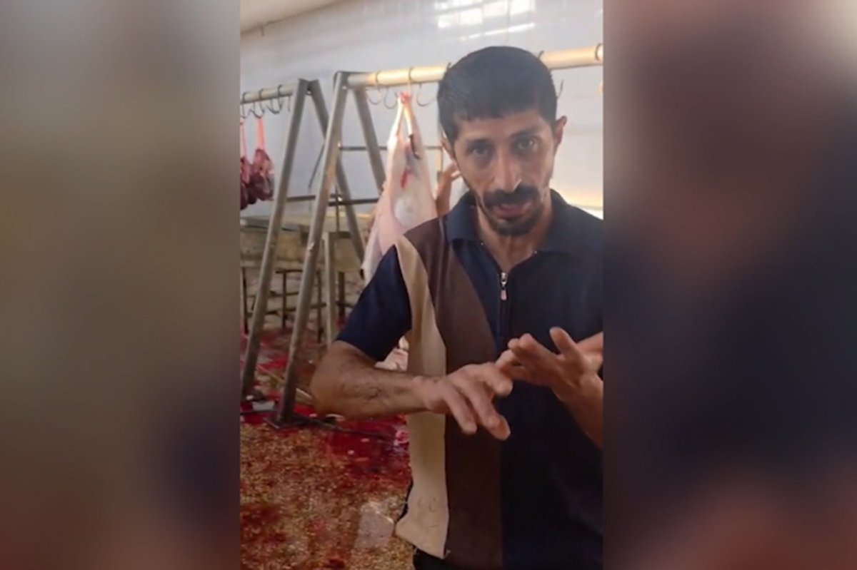Silopi’deki kesimhanede su, elektrik ve temizlik krizi