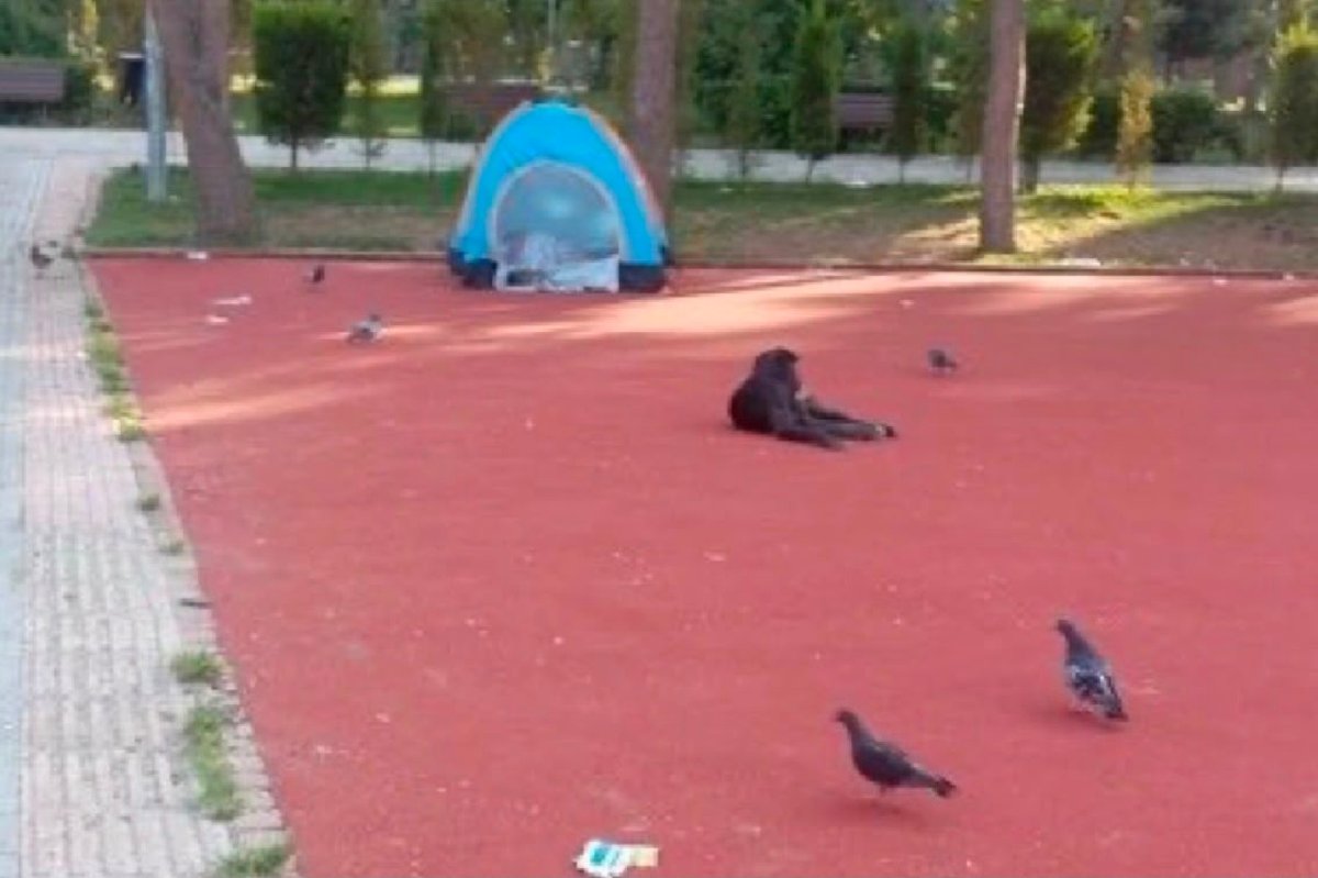 İzmir'de vatandaşlar parklarda denetimlerin artırılmasını talep ediyor