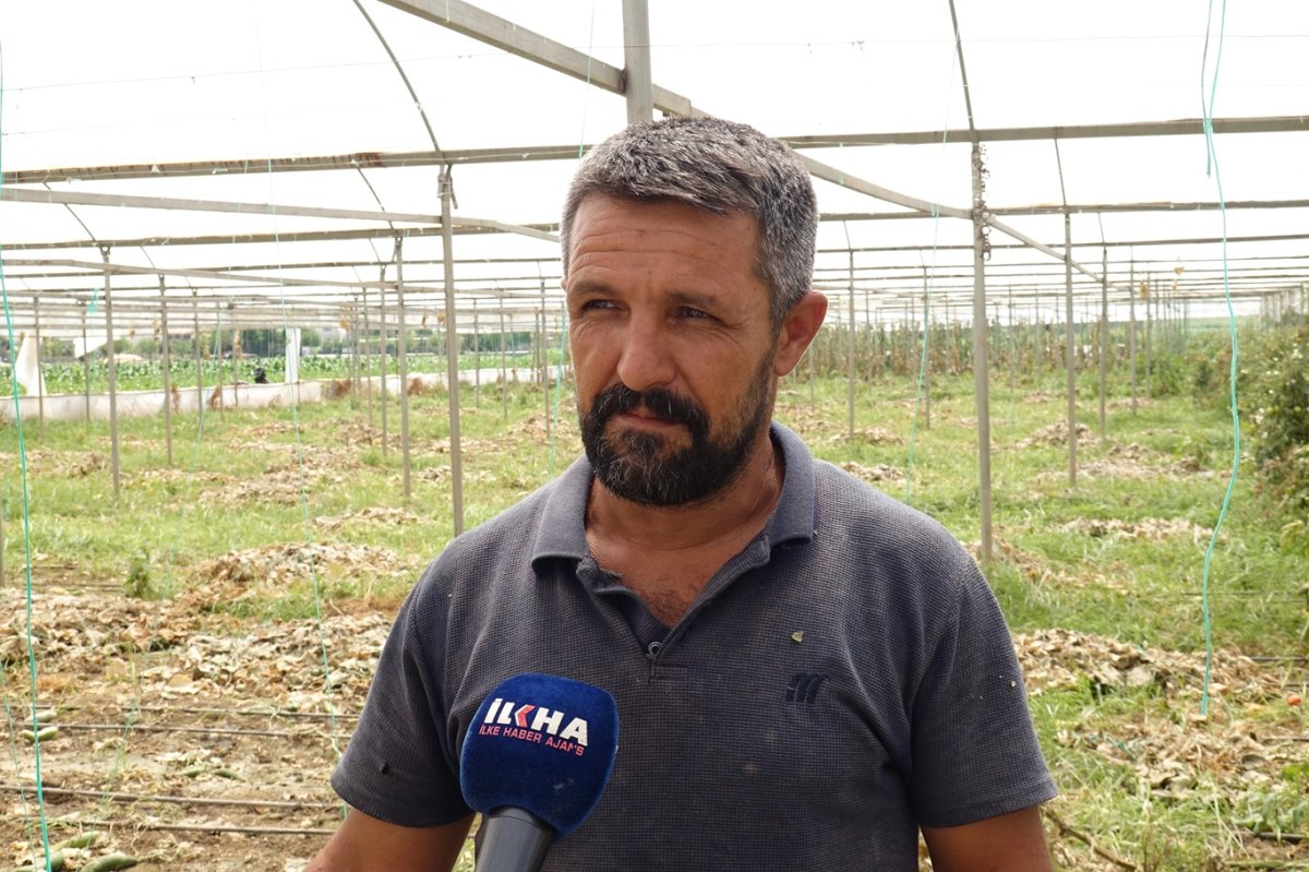 Salatalık üreticisi dertli: Verim düştü, maliyet arttı