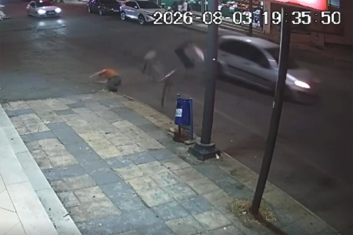 Batman'da otomobil ile bisiklet çarpıştı: 1 yaralı