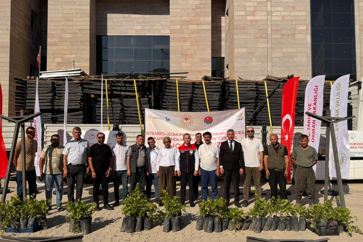 Şırnak’ın Kıtılnefs üzümüne üretim desteği