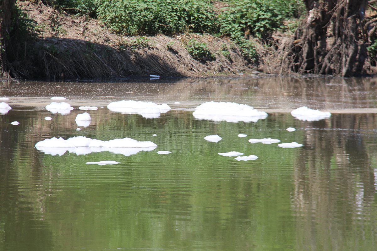 HÜDA PAR Sur İlçe Başkanı Akgül: DİSKİ'nin arıtma tesisi Dicle Nehri ve çevredeki vatandaşları zehirliyor