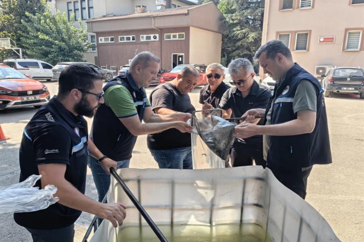 Bursa’da 13 milyon yavru balık su kaynaklarıyla buluşturuldu