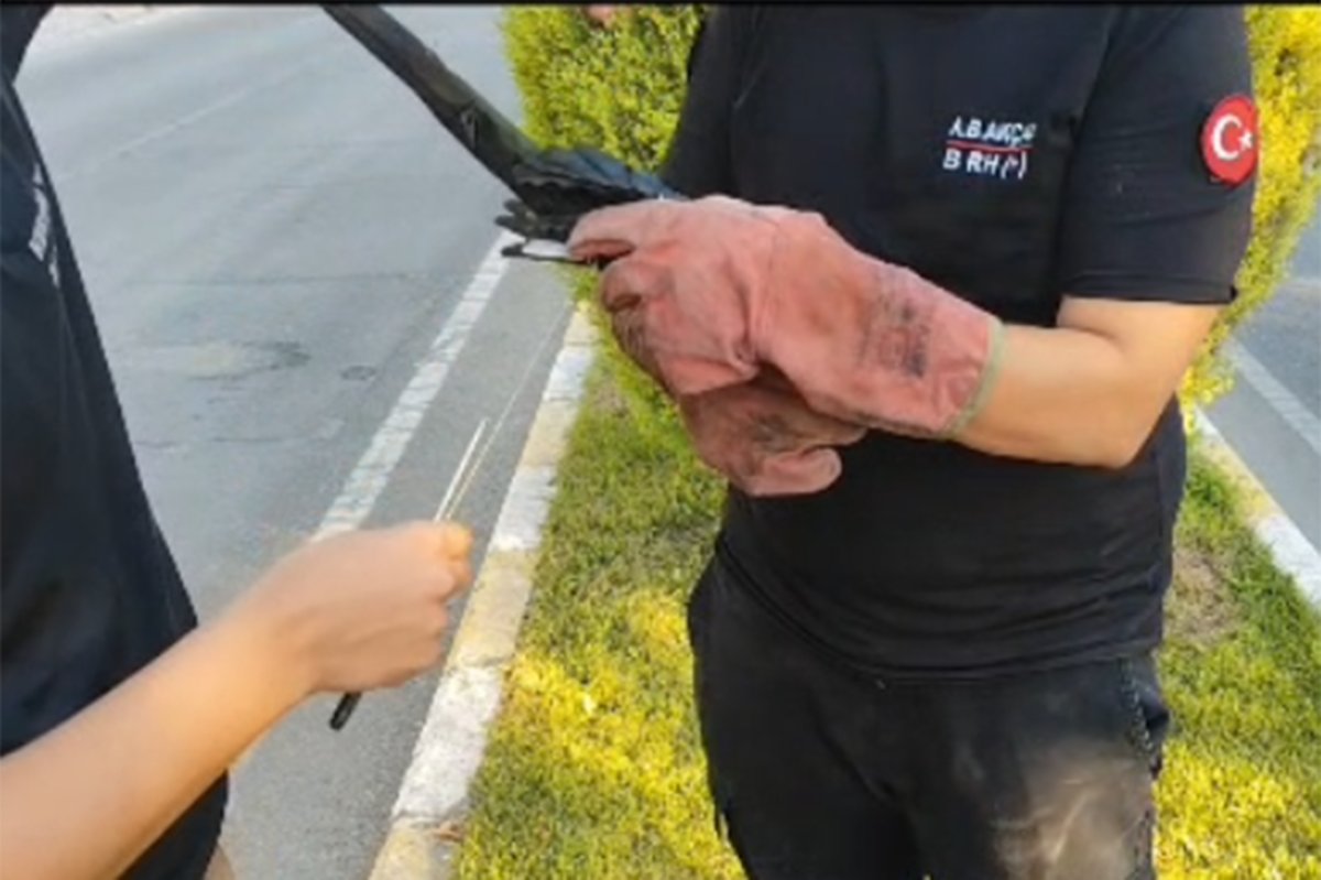 Batman'da direğe dolanan kuş kurtarıldı