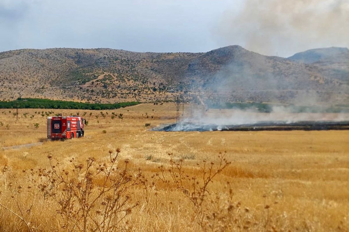 Elektrik tellerinden çıkan kıvılcım 40 dönümlük alanı küle çevirdi