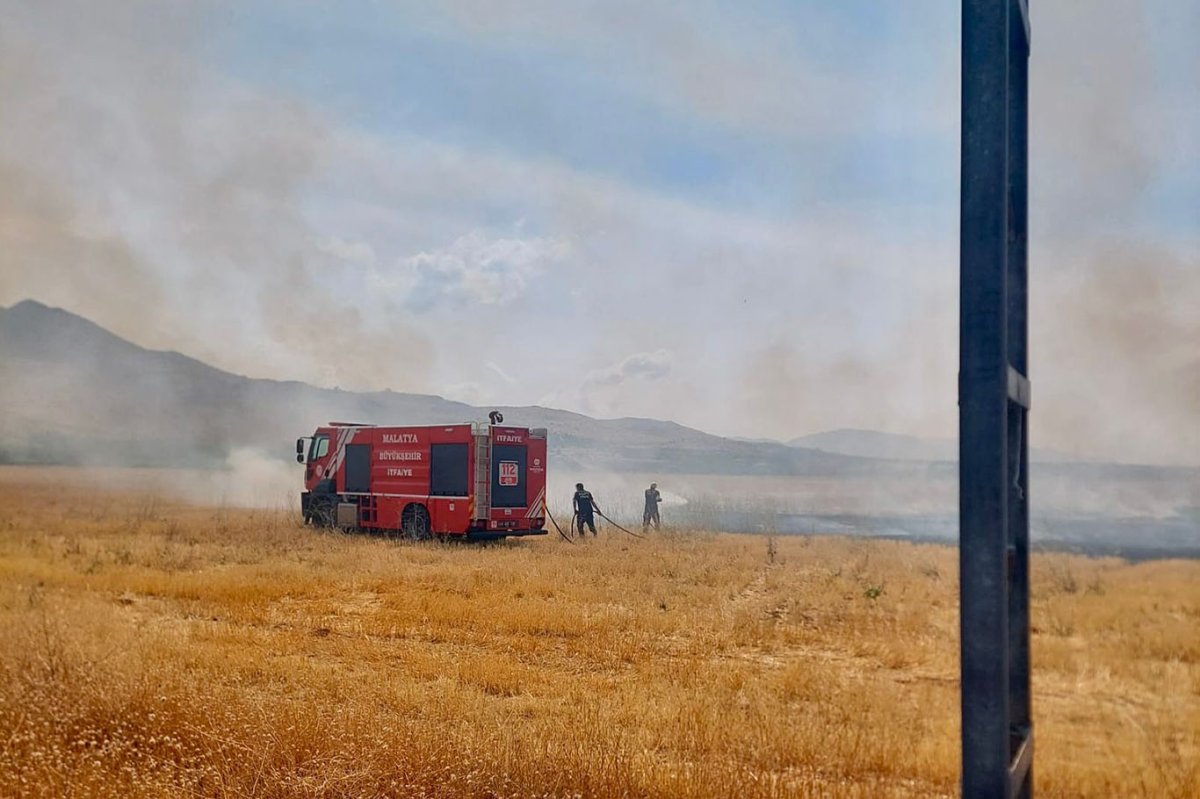 Elektrik tellerinden çıkan kıvılcım 40 dönümlük alanı küle çevirdi