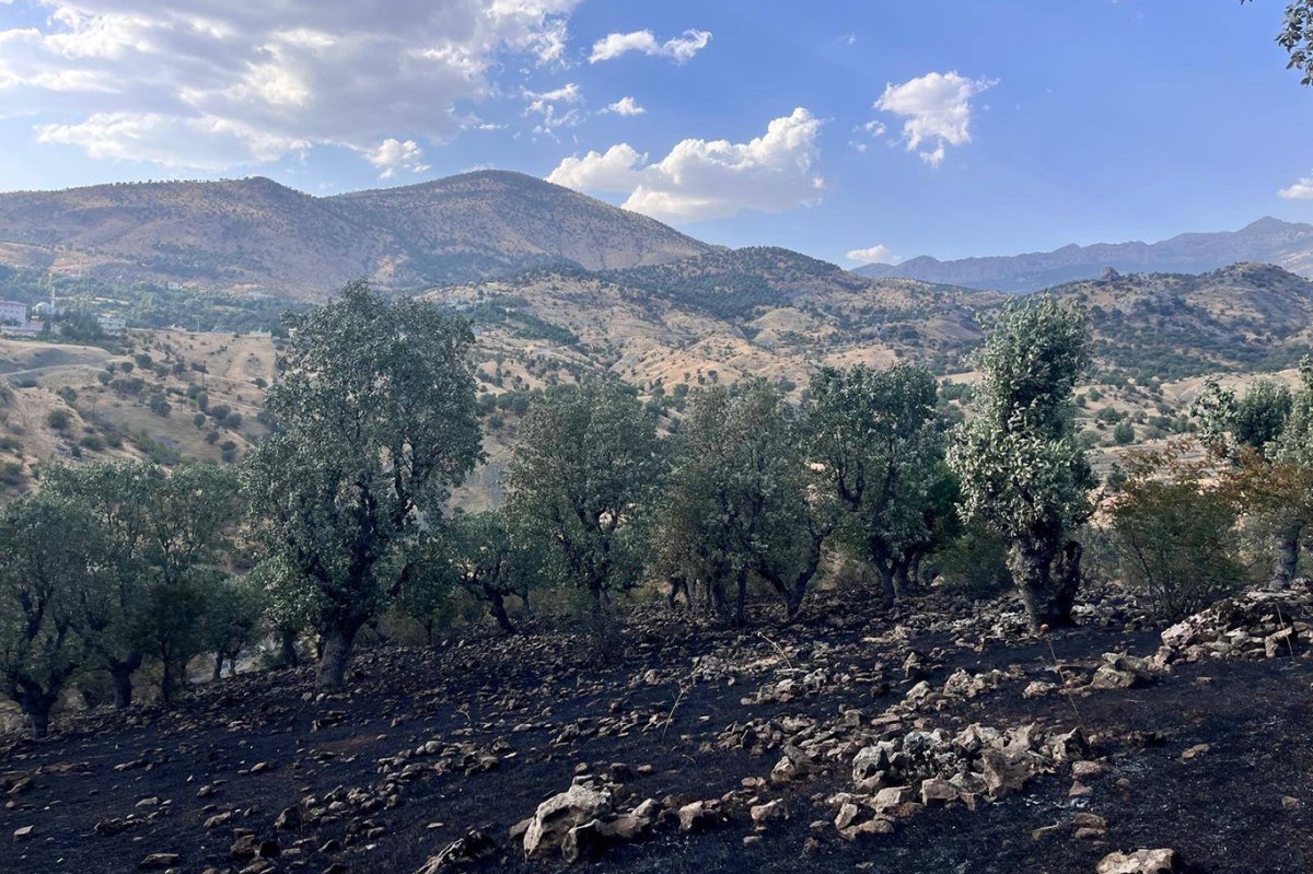 Siirt’te 5 ayrı orman ve arazi yangını: 4’ü kontrol altına alındı, 1 yangına müdahale sürüyor