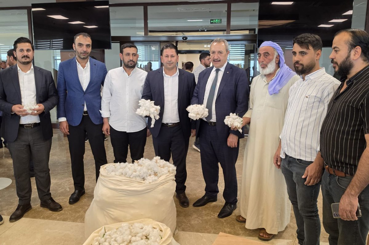 Şanlıurfa'da sezonun ilk pamuğu satıldı