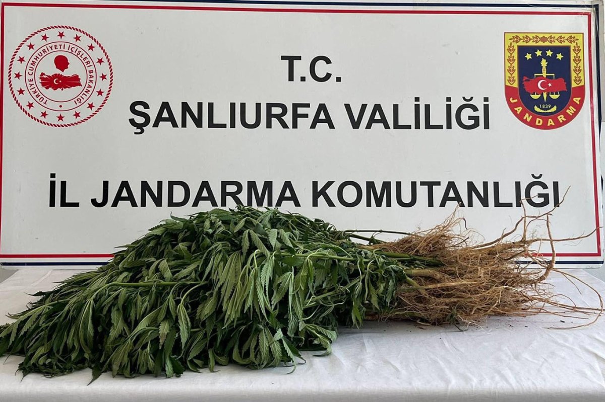 Şanlıurfa'da narkotik operasyonlarında 5 şüpheliye adli işlem