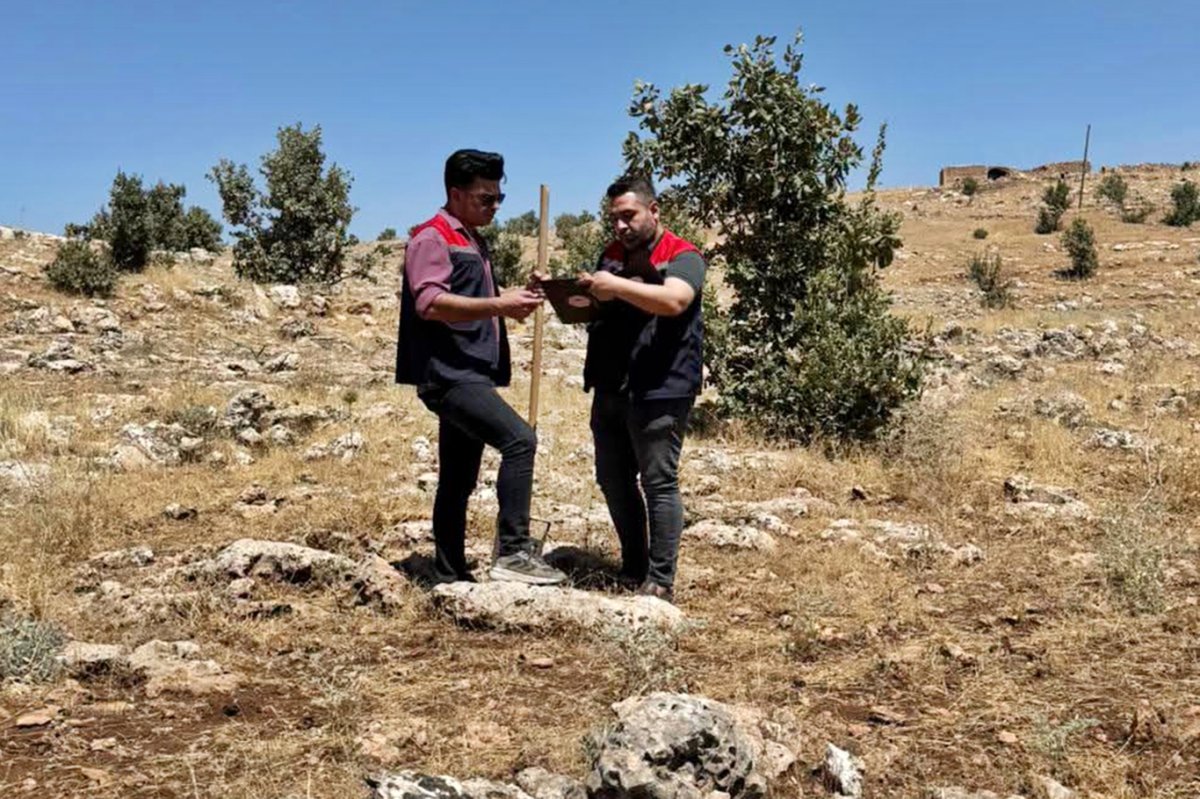 Şırnak’ta büyükbaş hayvancılık yatırımları için arazi etüdü yapıldı