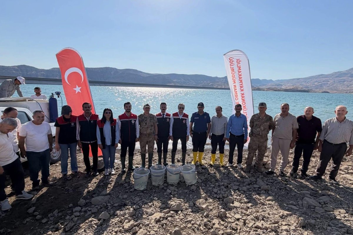 Şırnak'ta 900 bin yavru şabut Ilısu Baraj Gölü’ne bırakıldı