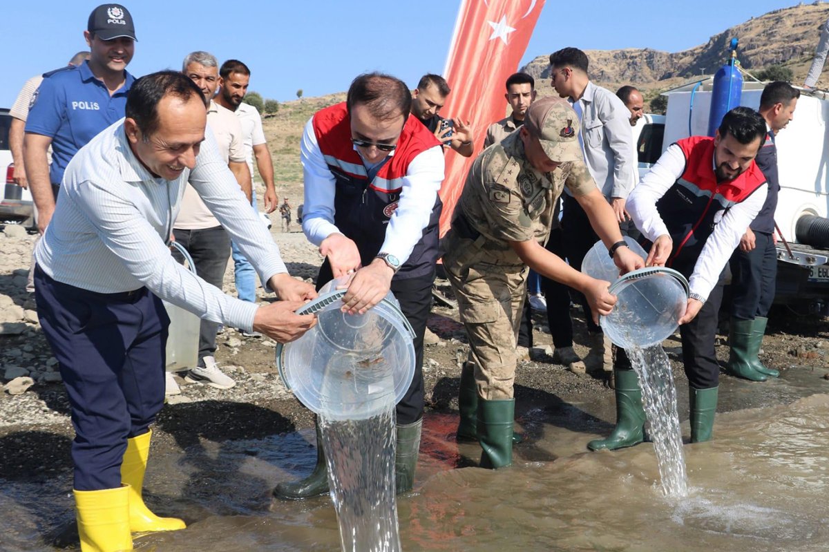Şırnak'ta 900 bin yavru şabut Ilısu Baraj Gölü’ne bırakıldı