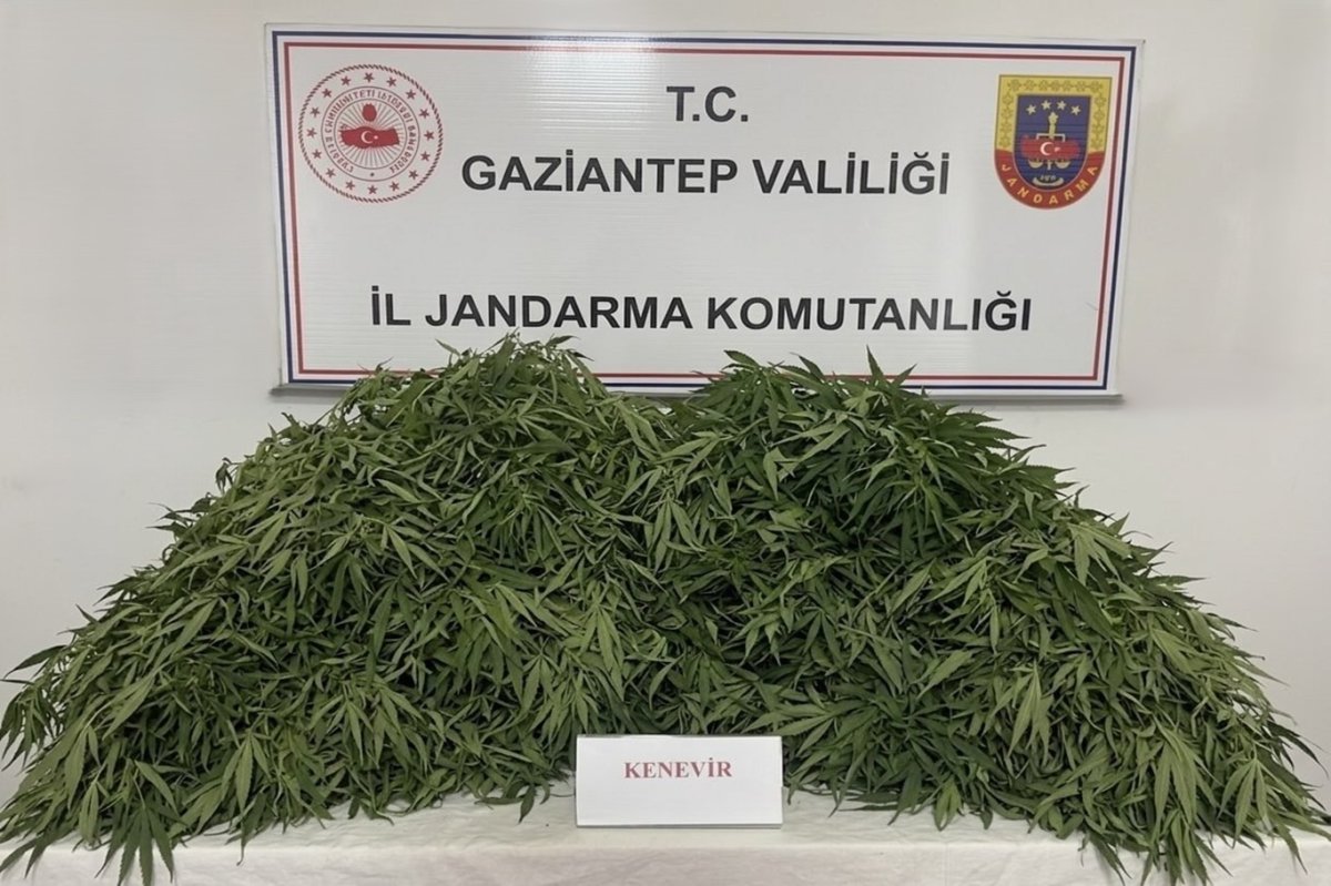 Gaziantep'te uyuşturucu ve kaçakçılık operasyonunda 166 şüpheli yakalandı