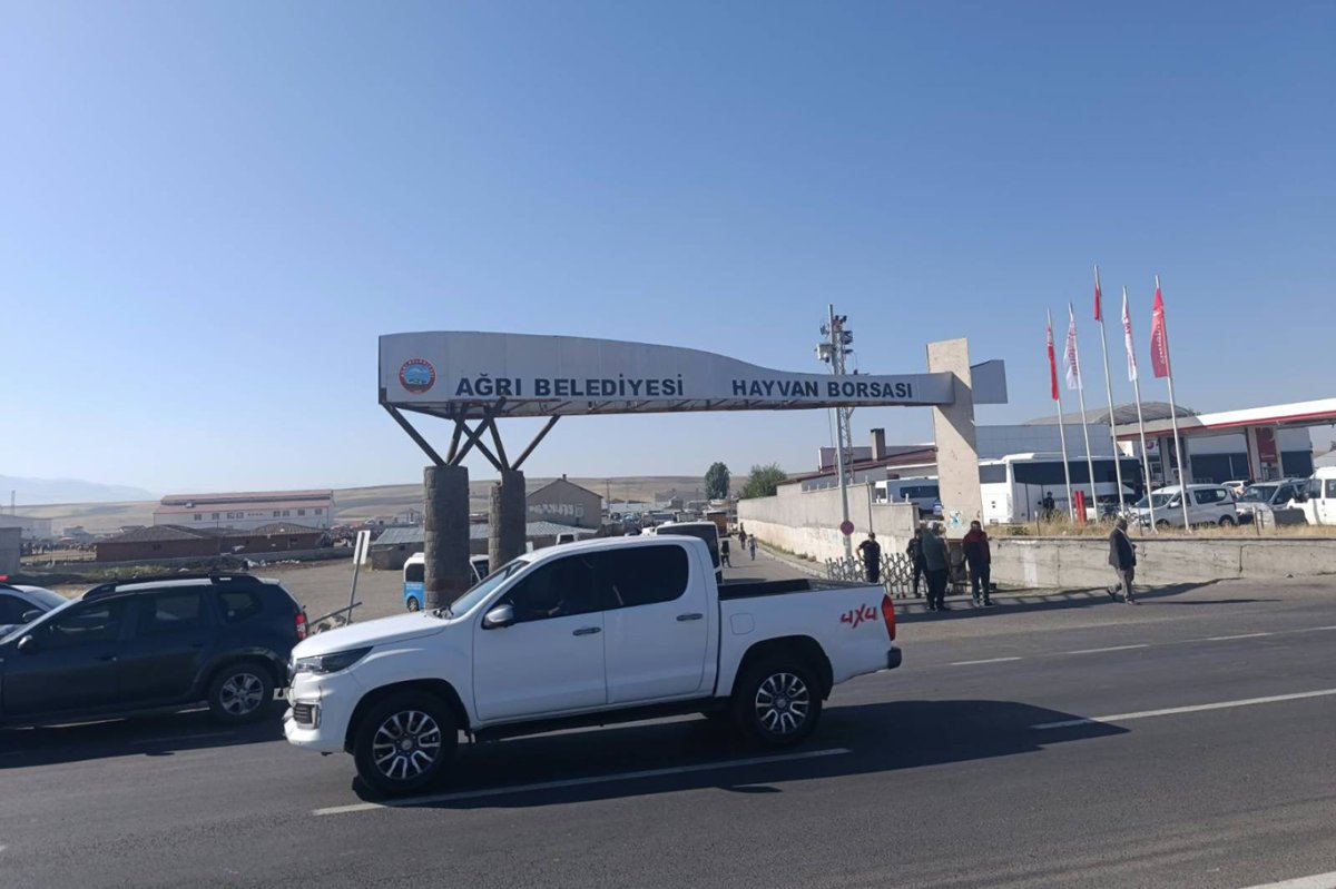 Ağrı Hayvan Borsasında şap mesaisi