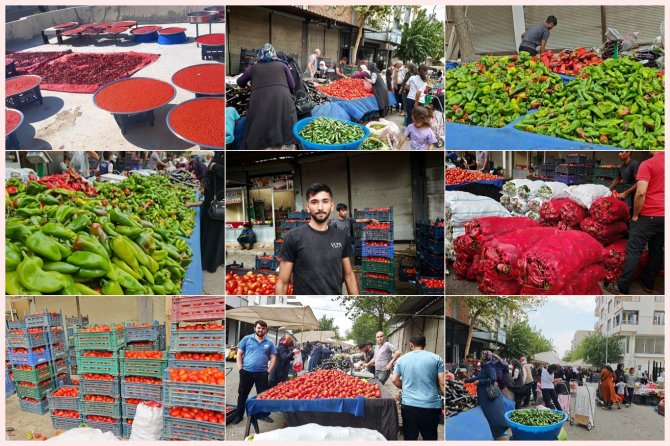 Şanlıurfa'da isot telaşı başladı: Damlar kırmızıya büründü