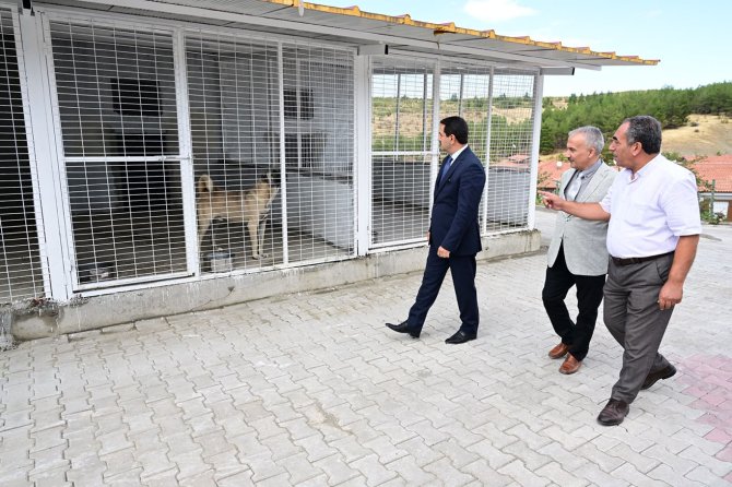 Battalgazi'nin ikinci hayvan barınağı hizmetini sürdürüyor