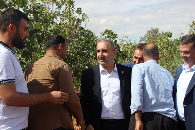 HÜDA PAR Milletvekili Demir: Fıstık üreticisinin ayakta kalabilmesi için acil müdahale gerekiyor