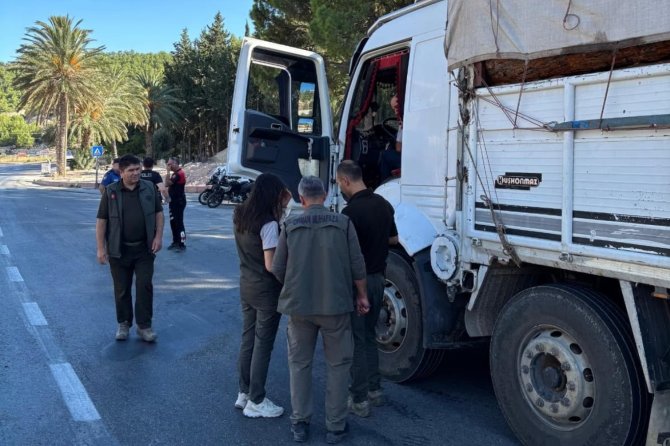 Silifke'de orman suçlarına karşı denetim