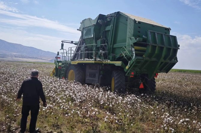 Silopi'de pamuk hasadı başladı