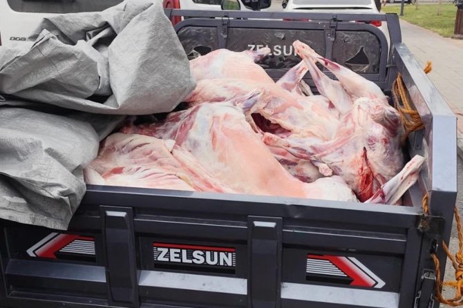 Batman'da kaçak kesilen 14 küçükbaş hayvanın et ve sakatatına el konuldu