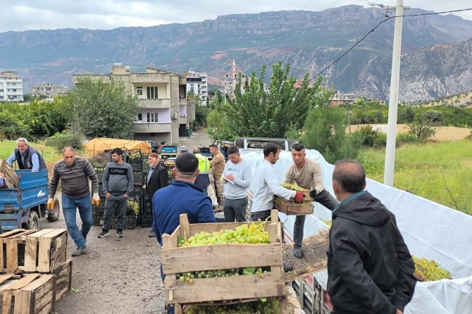 Üzüm üreticilerinden düşük alım fiyatlarına tepki : Tüccara satmayıp sirke yapacaklar