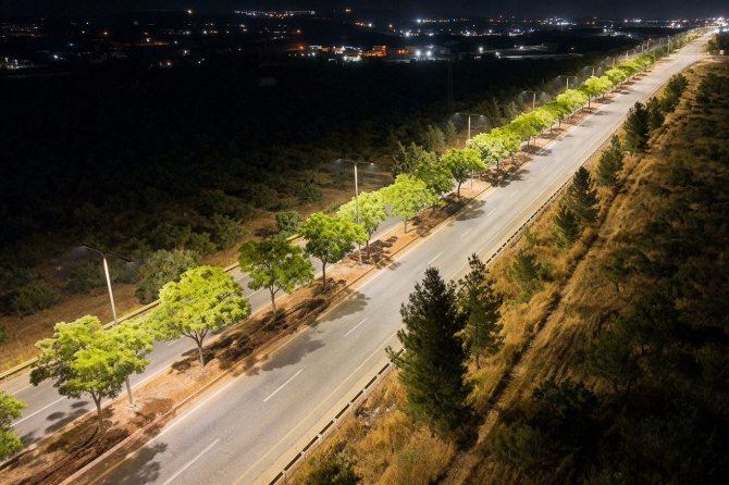 Dicle Elektrik'ten GAP Havalimanı yoluna 65 milyon TL'lik yatırım