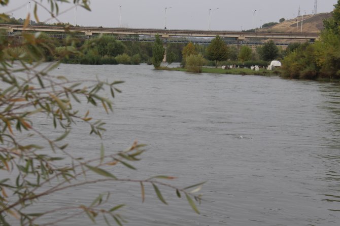 Diyarbakır'da yağışlarla birlikte Dicle Nehri'nin debisi arttı