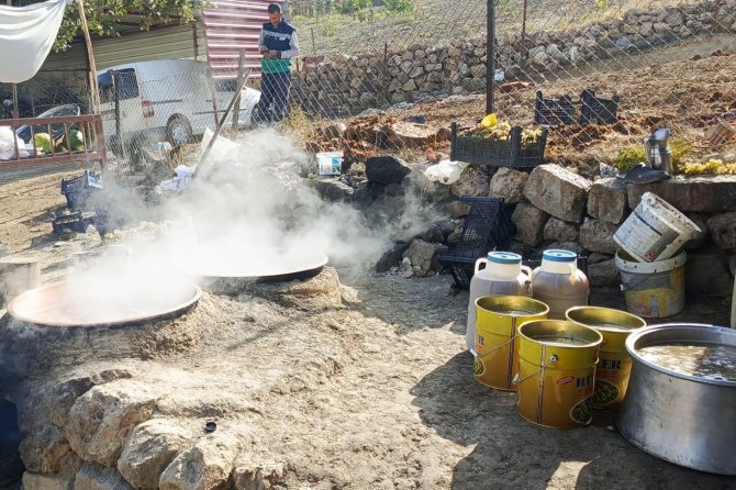 Üzümden pekmez, pestil ve cevizli sucuk yapılıyor