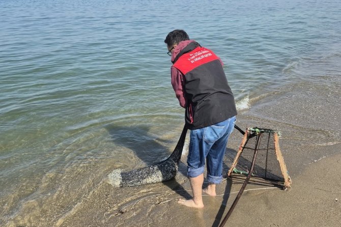Kaçak avcılık operasyonu: 2 ton kum şırlanı ele geçirildi