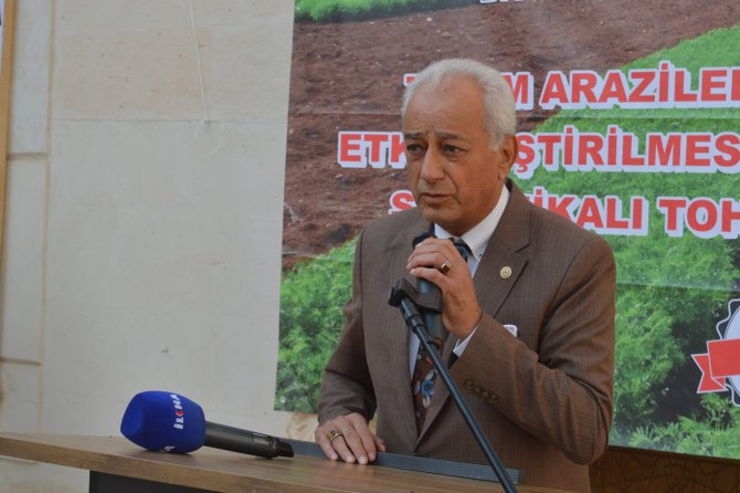 Siirt’te üreticilere 176 ton sertifikalı kırmızı mercimek tohumu dağıtılıyor