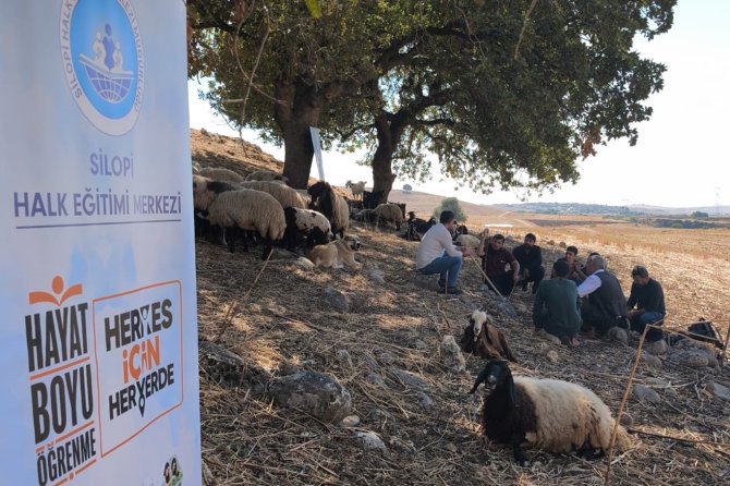 Şırnak'ta çobanlara sürü yönetimi eğitimi