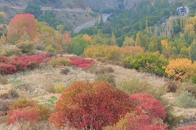 Günpınar Vadisi'nde sonbaharın renk cümbüşü
